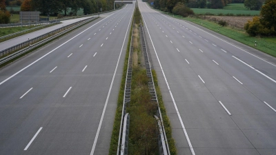 Ein herumirrender Hund sorgte auf der A9 wiederholt für Sperrungen. (Symbolbild) (Foto: Marcus Brandt/dpa)