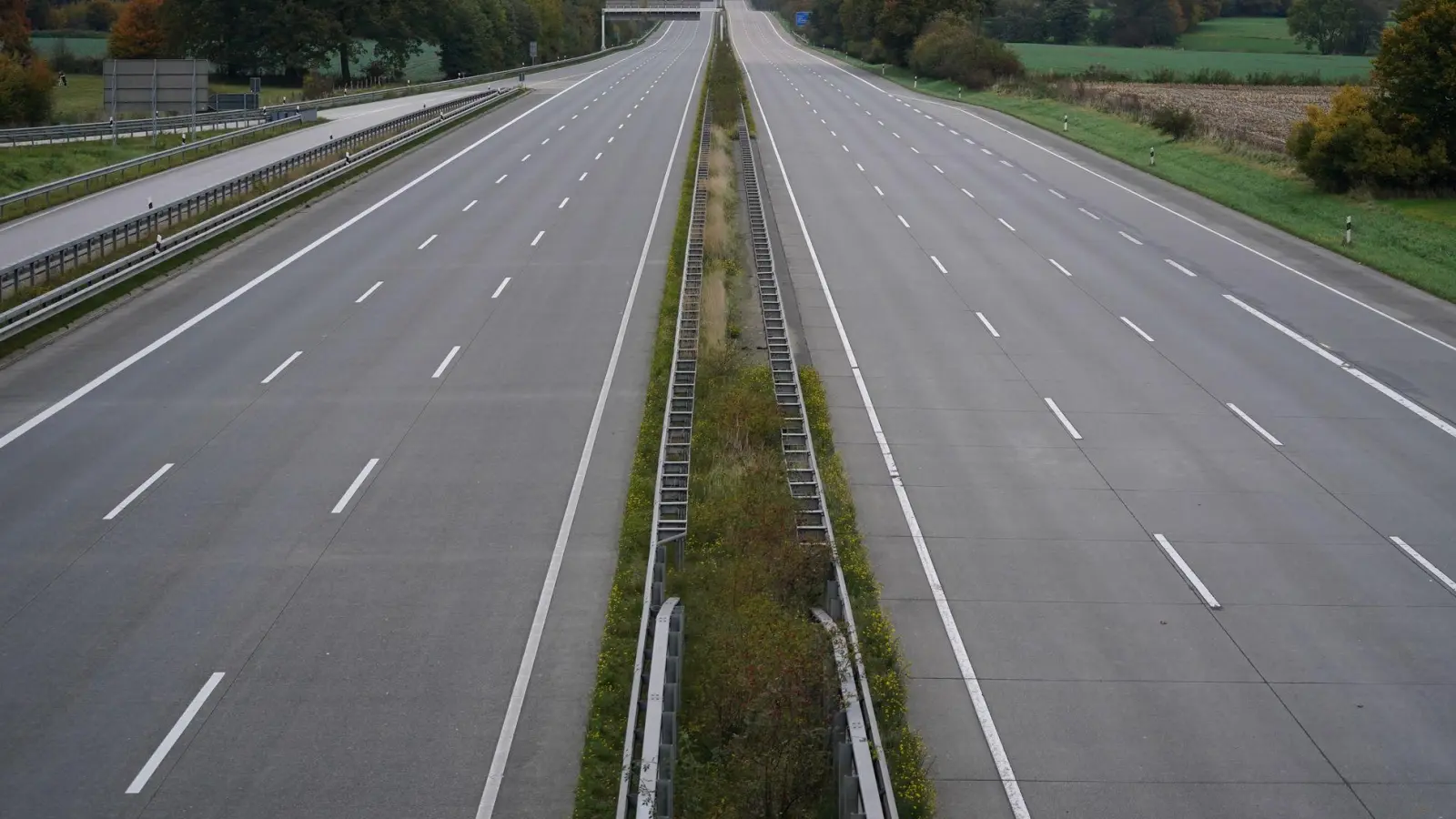 Ein herumirrender Hund sorgte auf der A9 wiederholt für Sperrungen. (Symbolbild) (Foto: Marcus Brandt/dpa)