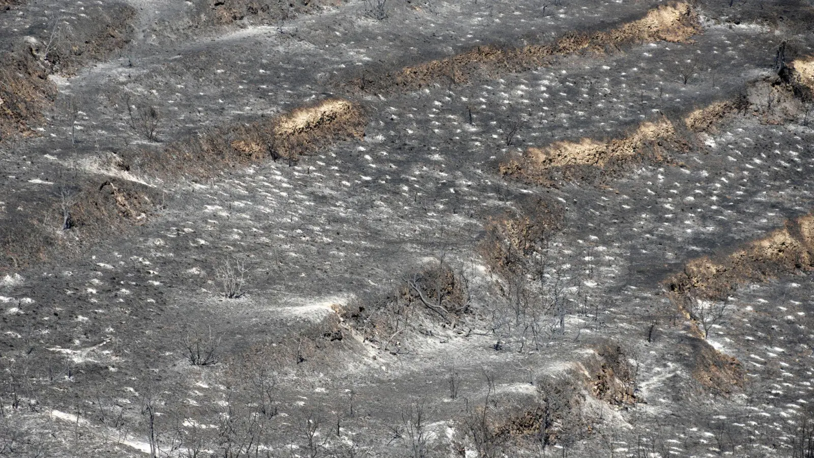 Den Behörden zufolge soll eine Fläche von rund 120 Quadratkilometern verbrannt sein.  (Foto: Petros Karadjias/AP/dpa)