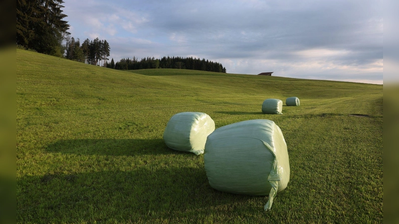 Mit sommerlichen Temperaturen in Bayern geht es ins Wochenende.  (Foto: Karl-Josef Hildenbrand/dpa)