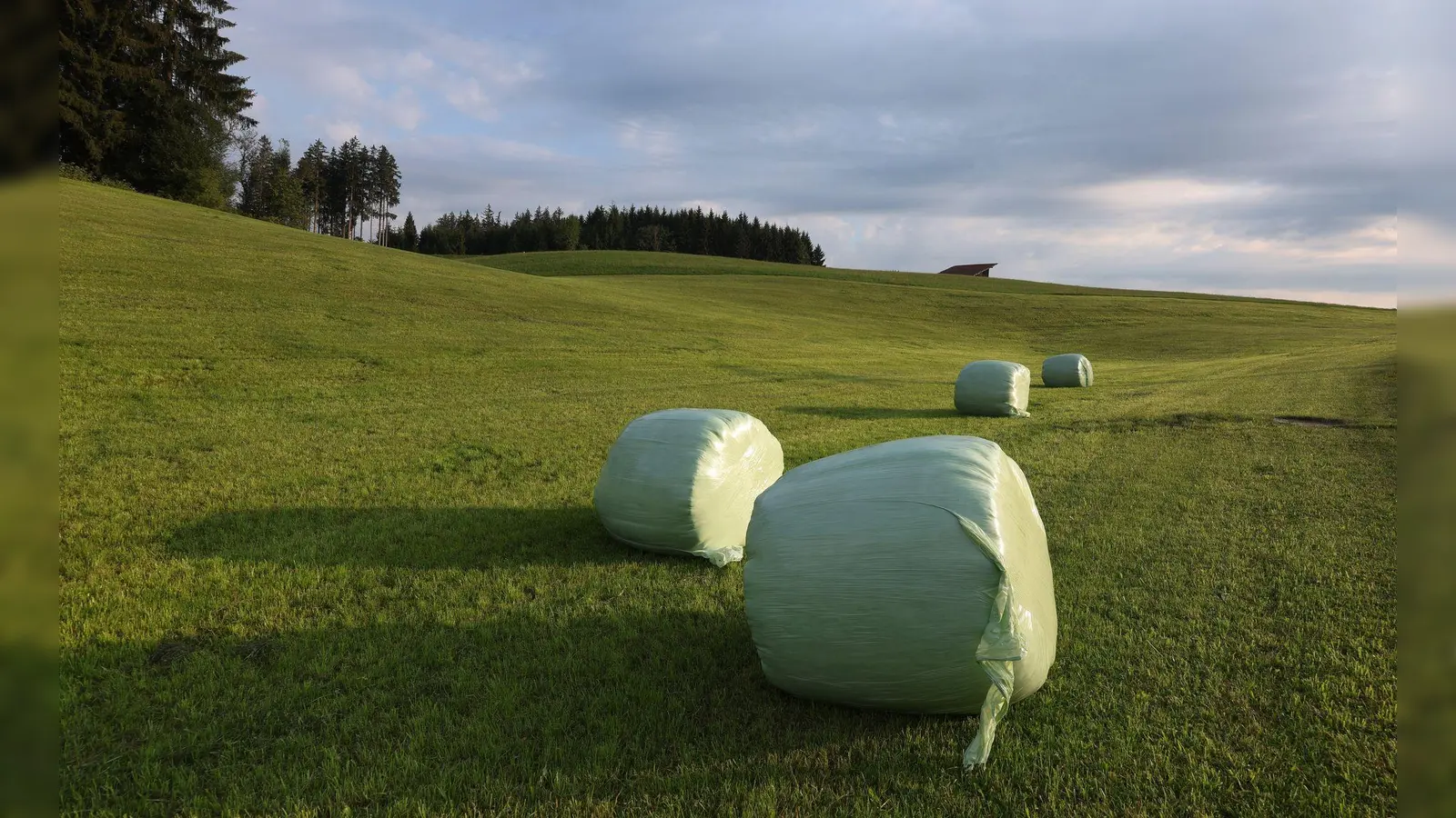 Mit sommerlichen Temperaturen in Bayern geht es ins Wochenende.  (Foto: Karl-Josef Hildenbrand/dpa)