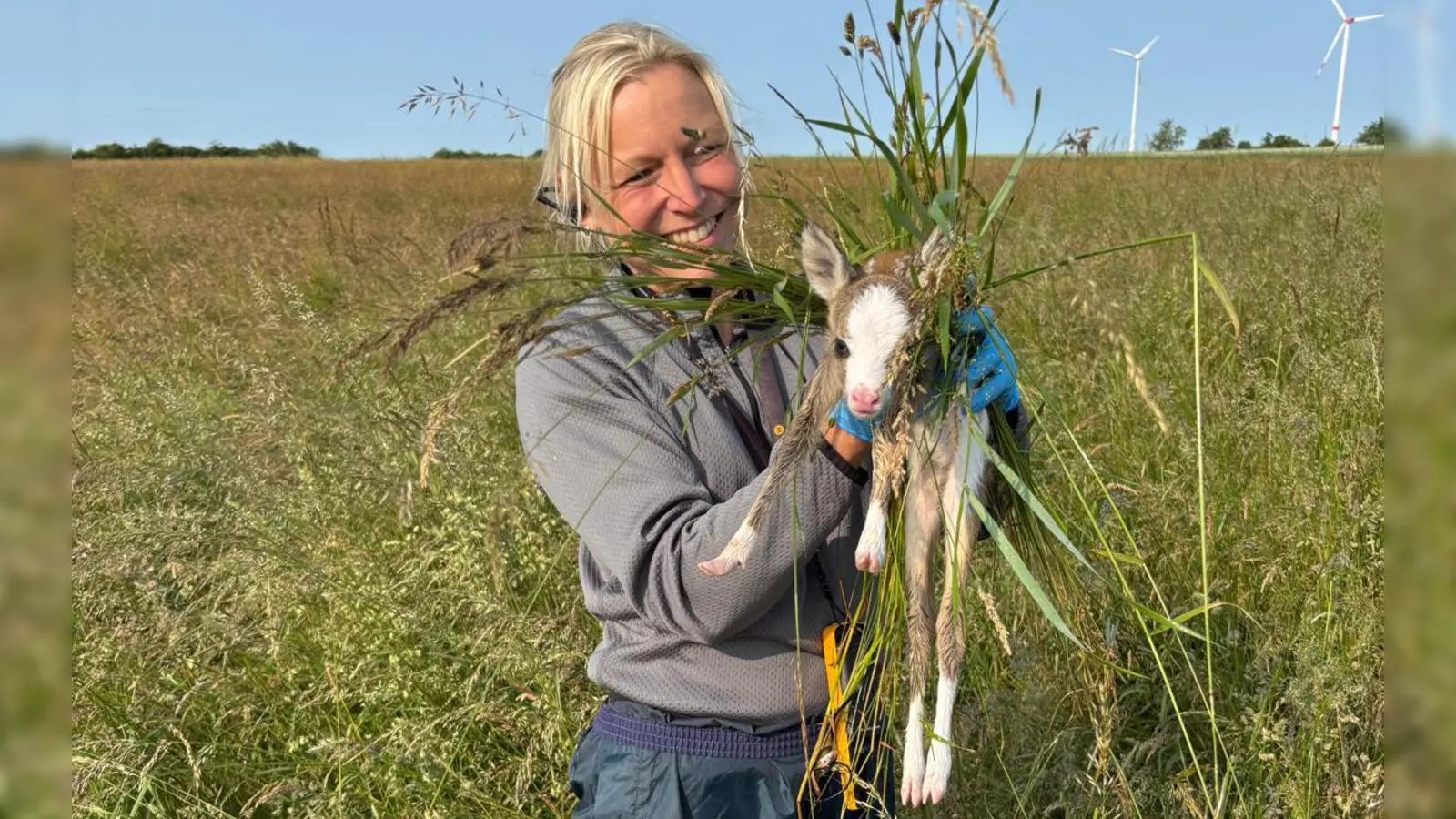 Hier rettet Simone Schmidt ein Rehkitz. Vorschriftsmäßig mit Handschuhen und Gras um den Tierkörper. (Foto: Simone Schmidt)