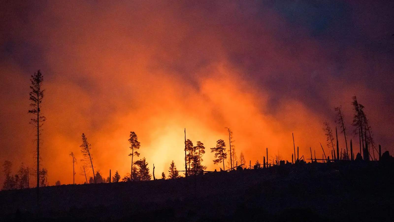 Waldbrände fachen mit ihren Emissionen die Erderwärmung zusätzlich an. (Illustraiton) (Foto: Daniel Vogl/dpa)