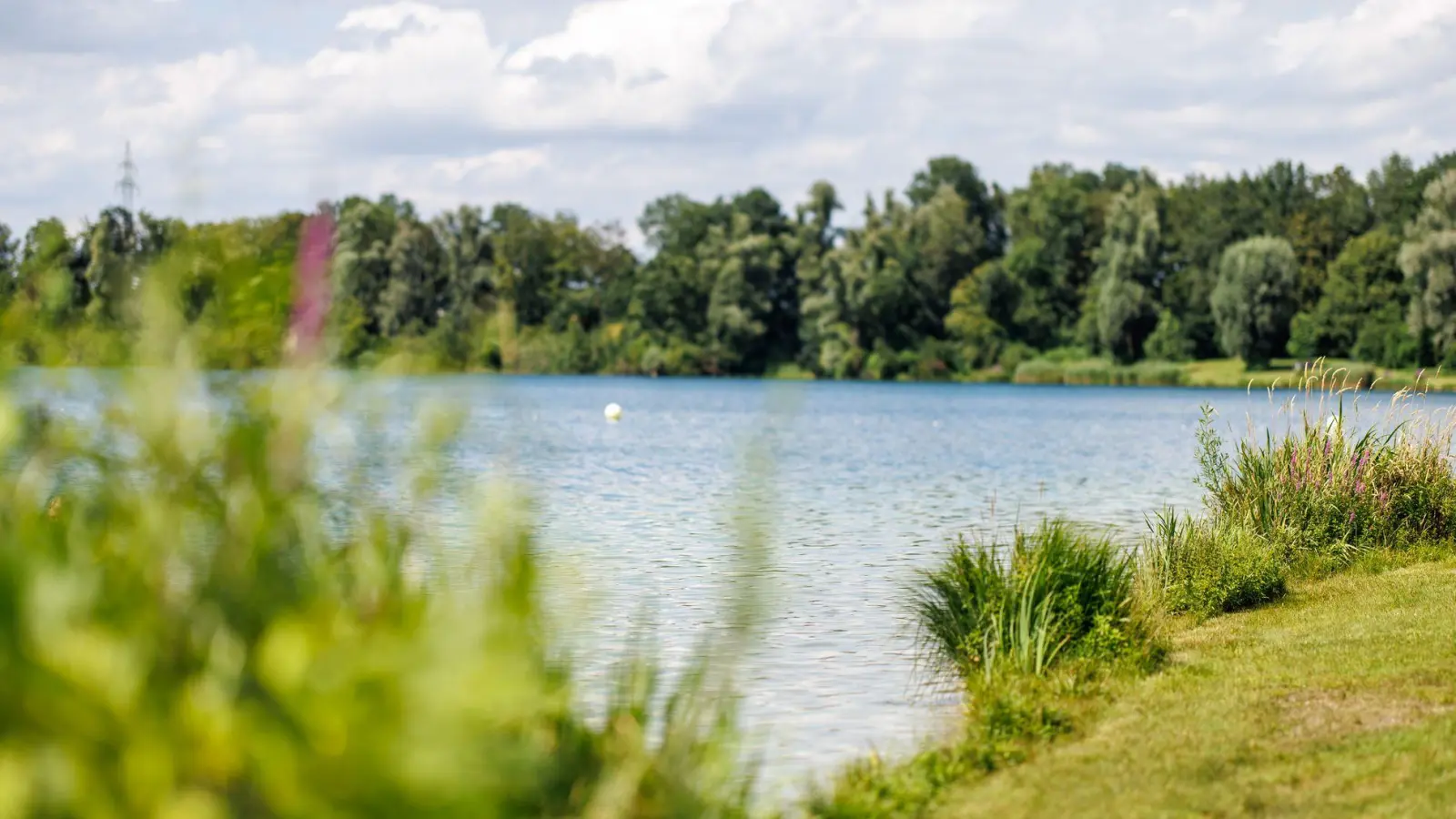 Am Feringasee bedrohte ein Mann andere Badegäste. (Archivbild) (Foto: Matthias Balk/dpa)