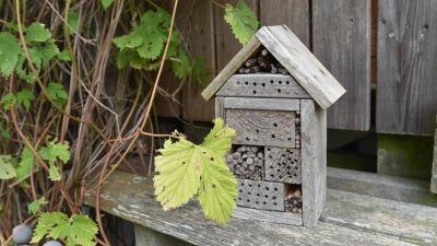 Insektenhotels bieten Unterschlupf für viele Gäste. Um es ihren Feinden nicht zu leicht zu machen, sind mehrere kleine Quartier besser als ein großes.  (Foto: Manfred Blendinger)