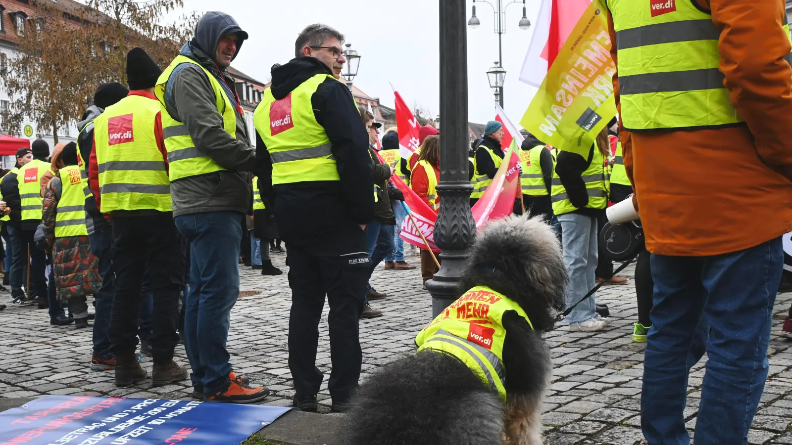 Auch ein Hund wurde unter den Demonstranten gesichtet. (Foto: Luca Paul)