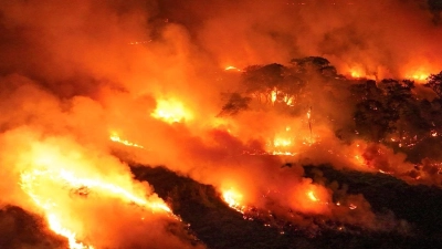 Im Pantanal-Feuchtgebiet brennt es derzeit heftig. (Foto: Andre Penner/AP/dpa)
