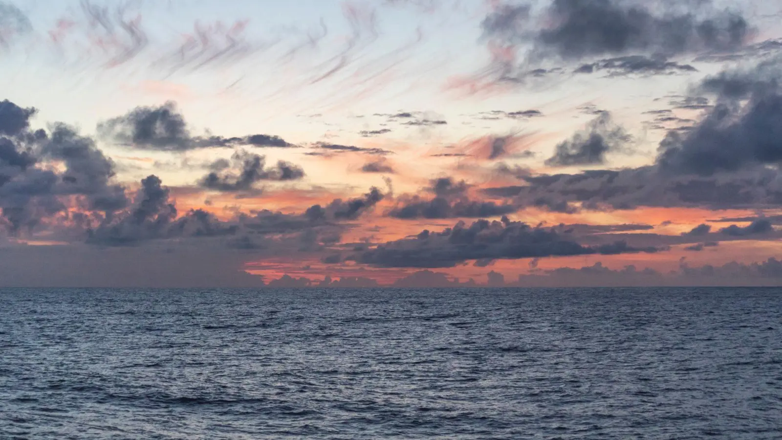 Untersucht wurde eine Region nördlich von Hawaii, die sogenannte Nordpazifische Übergangszone. (Foto: Ryan Tabata/University of Hawaii at Manoa/dpa)