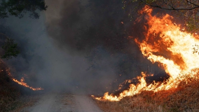 Die lange Trockenheit erhöht das Waldbrandrisiko. (Foto: Jan Ohmen/dpa)