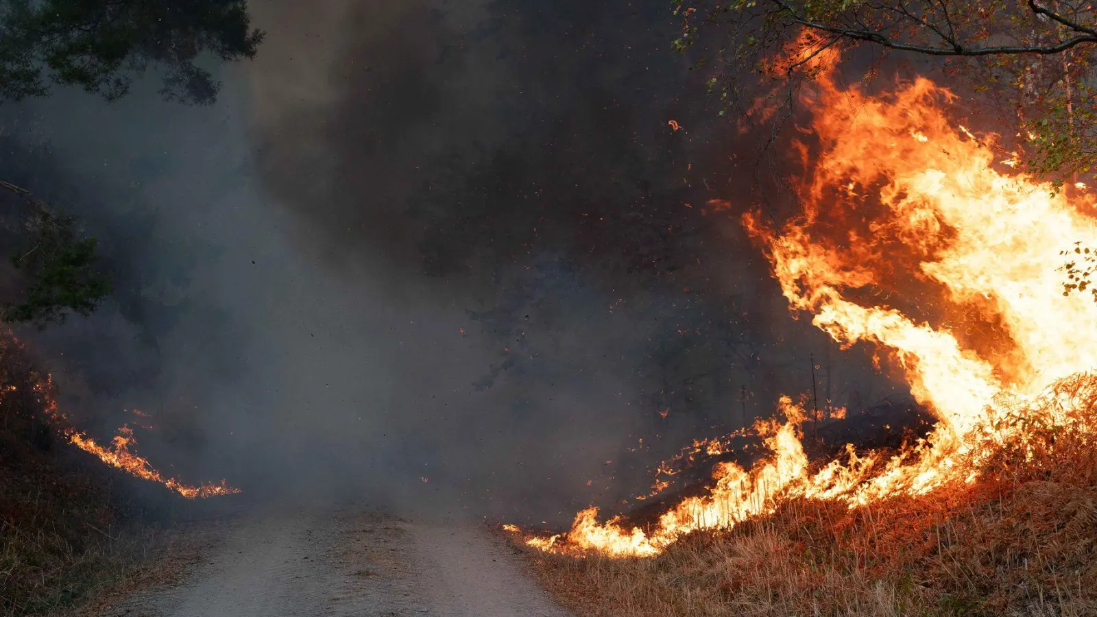 Die lange Trockenheit erhöht das Waldbrandrisiko. (Foto: Jan Ohmen/dpa)