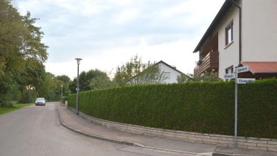 In der Alleestraße in Mönchsroth soll künftig Tempo 30 gelten. (Foto: Peter Tippl)