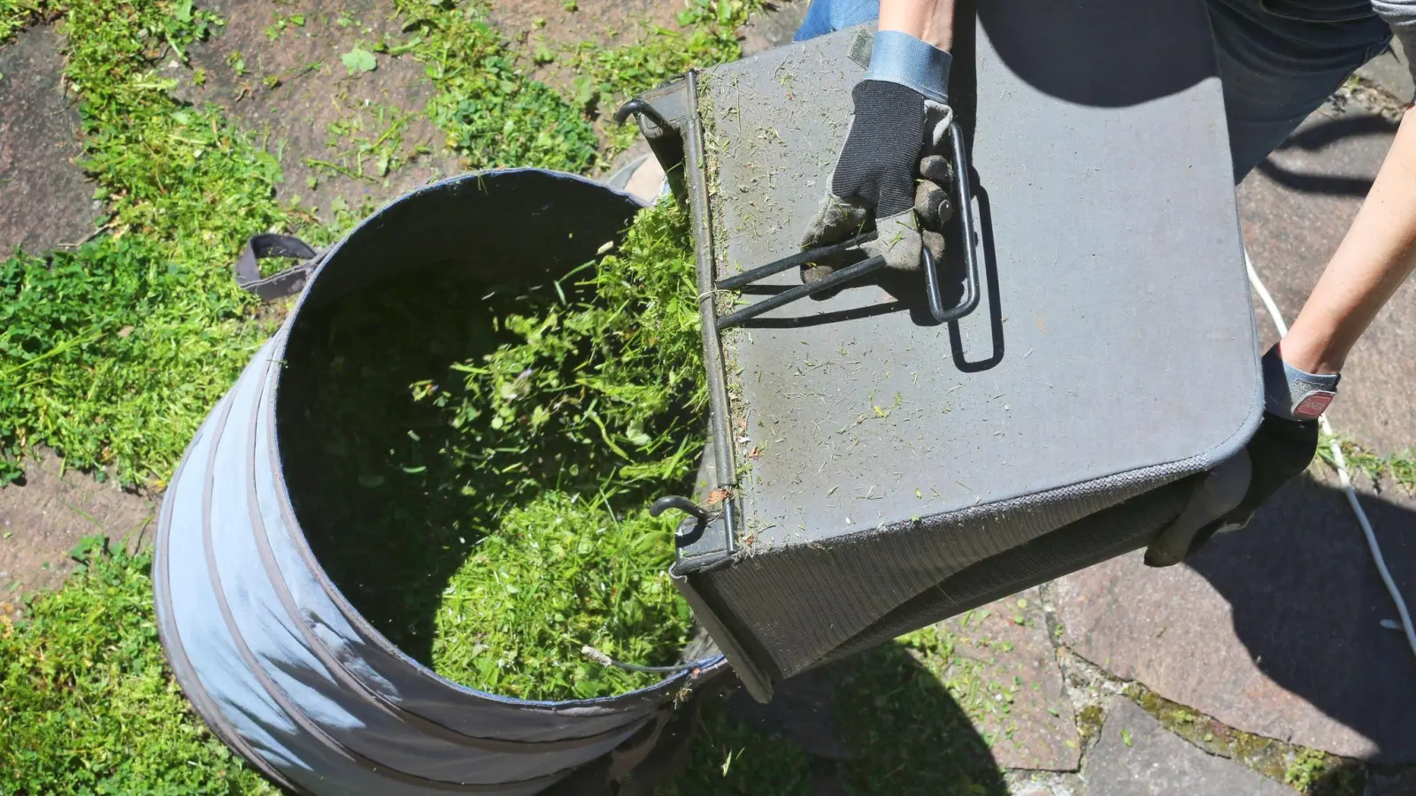 Zum Themendienst-Bericht vom 03. Juni 2021: Frisch gemähtes Gras ist kein Abfall. Es kann etwa zum Mulchen der Flächen rund um Bäume genutzt werden. (Foto: Karl-Josef Hildenbrand/dpa-tmn)