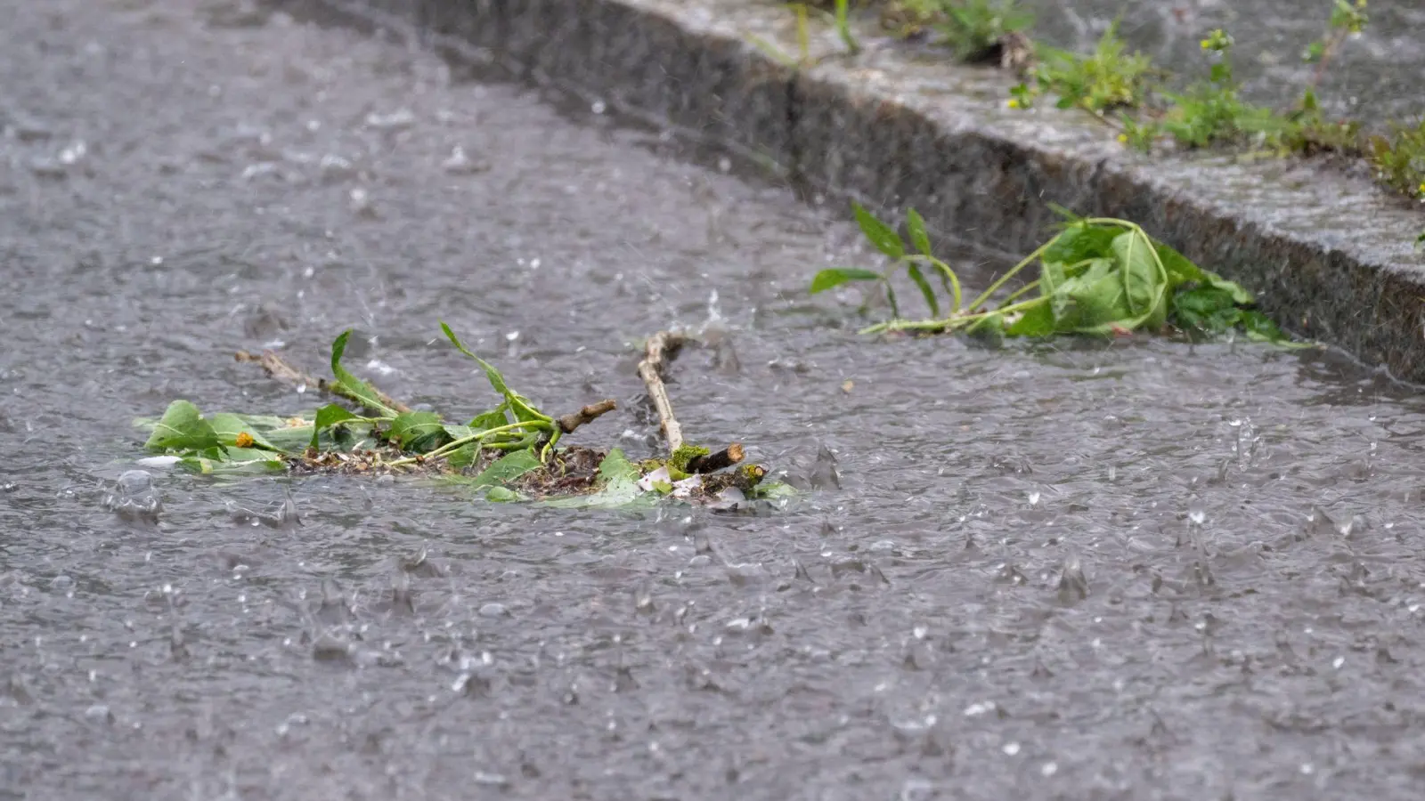 In Bayreuth rückten die Einsatzkräfte wegen des Unwetters mehrfach aus. (Symbolbild) (Foto: Pia Bayer/dpa)