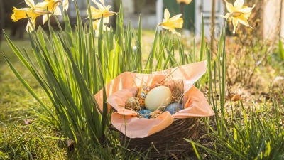 Mehr als nur Schokolade: Ein buntes Osternest kann auch gesunde Alternativen enthalten. (Foto: Christin Klose/dpa-tmn)