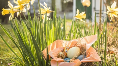 Die Prognosen sehen gut aus, dass an Ostern eine Eiersuche im Sonnenschein möglich ist. (Symbolbild: Christin Klose/dpa)