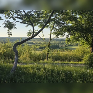 Landwirtschaftliche Schönheit - gesehen in Bad Windsheim (Foto: Erika Dietrich-Kämpf)