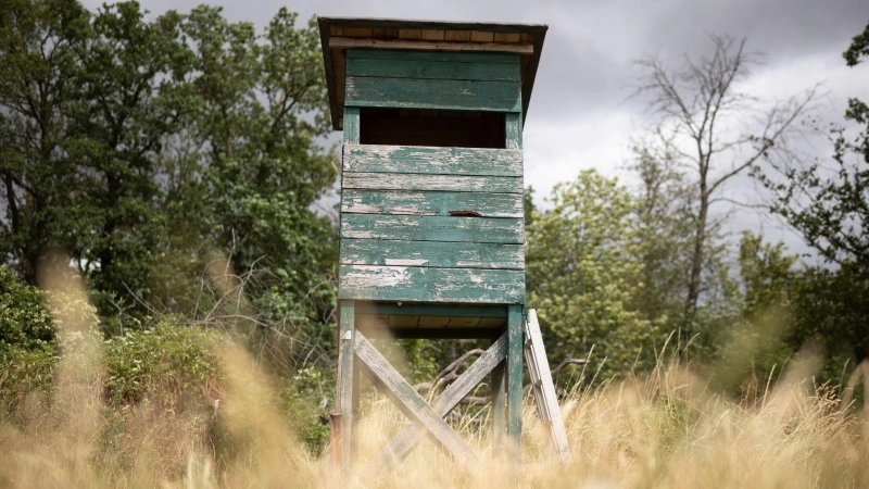 Fünf Hochsitze im Landkreis Ansbach wurden beschädigt. (Symbolbild: Tim Würz/dpa)