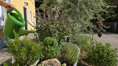 Noch können in Dinkelsbühl und Feuchtwangen die Kundinnen und Kunden der Stadtwerke unbesorgt ihre Gärten gießen. Einen Aufruf zum Wassersparen haben die Wasserversorger noch nicht ausgegeben. (Foto: Markus Weinzierl)