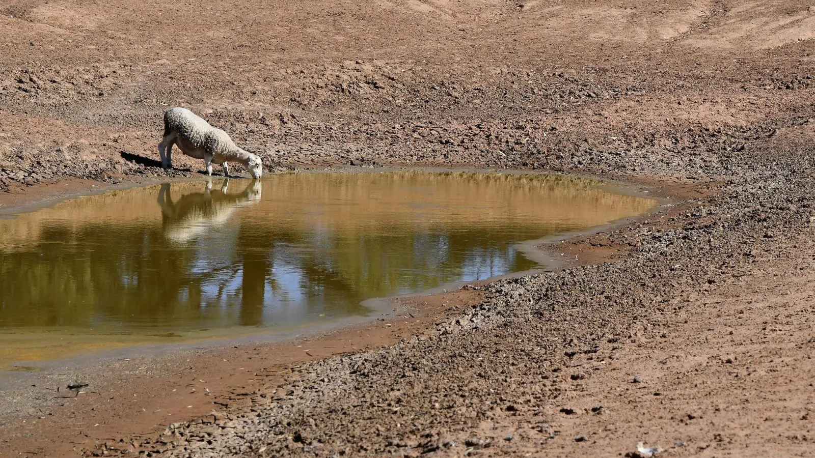  Zusätzlich zum Klimawandel durch menschengemachte Treibhausgase kommt nun das Wetterphänomen El Niño auf die Welt zu. (Symbolbild) (Foto: Dean Lewins/AAP/dpa)
