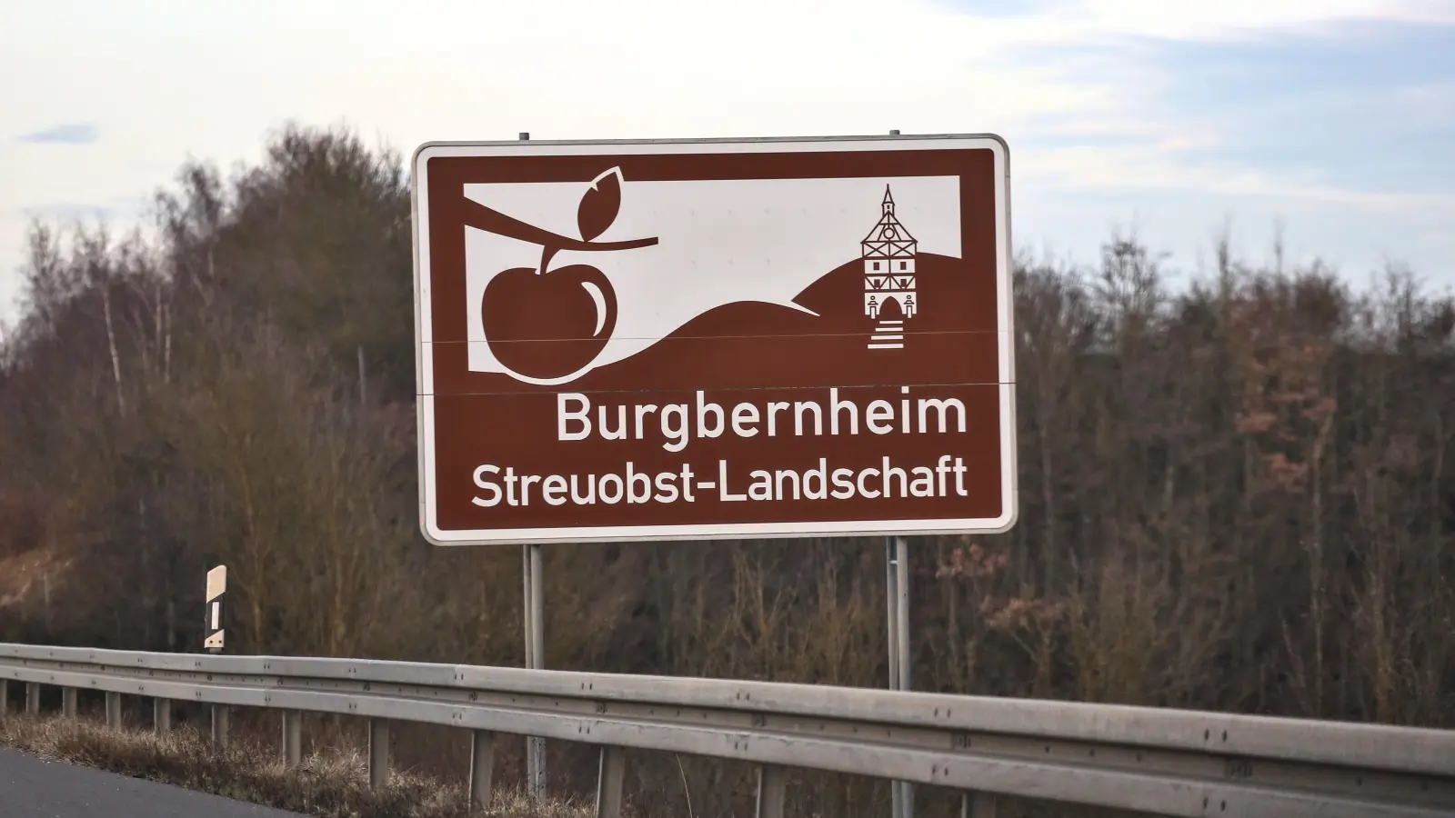 Alte Apfel- und Birnenbäume können in der Streuobst-Landschaft um Burgbernheim beäugt werden. (Foto: Tizian Gerbing)