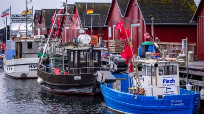 Trotz Sorgen um Dorsch und Hering: Für die deutschen Ostsee-Fischer bleibt fast alles beim Alten. (Symbolbild) (Foto: Jens Büttner/dpa)