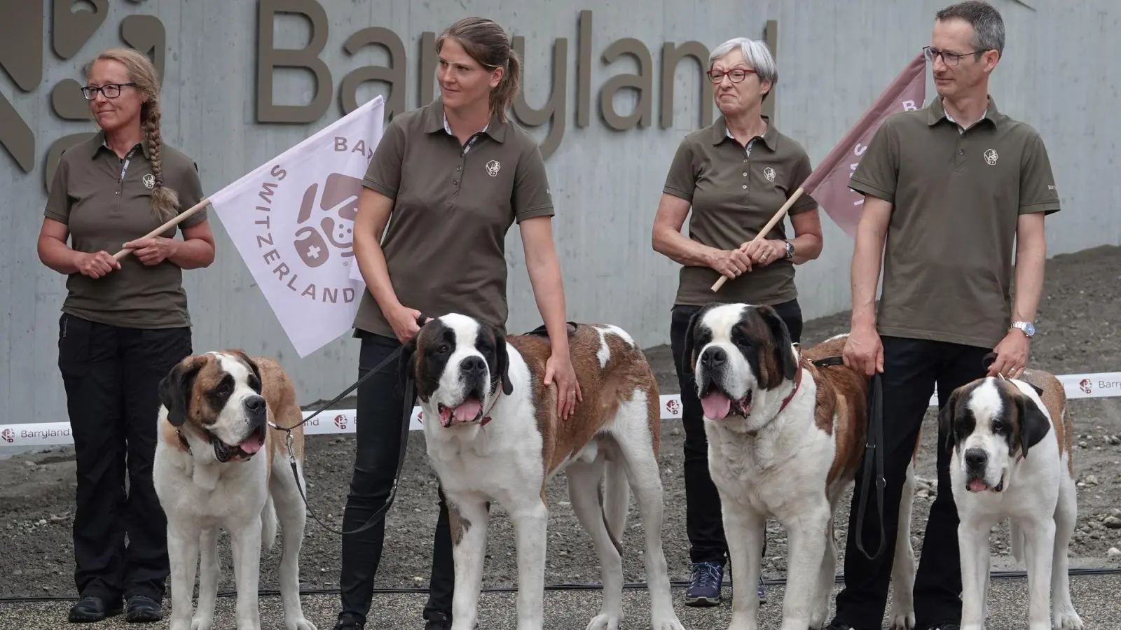 Die Sache mit den Fässchen am Hals der Bernhardiner - erfunden. (Foto: Christiane Oelrich/dpa)