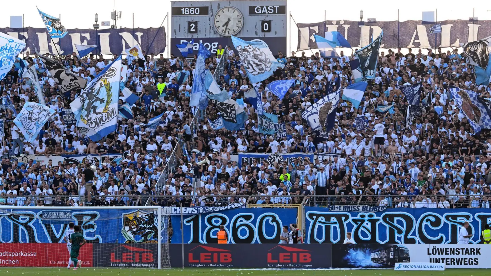 Freuen sich auf das Stadtderby: Die Fans des TSV 1860 München. (Archivbild) (Foto: Sven Hoppe/dpa)