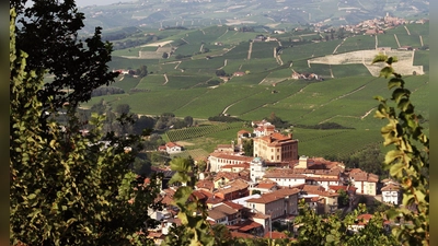Der Barolo aus der Umgebung der gleichnamigen Gemeinde gehört zu den berühmtesten Weinen der Welt. (Archivbild) (Foto: Bernhard Krieger/dpa-tmn)