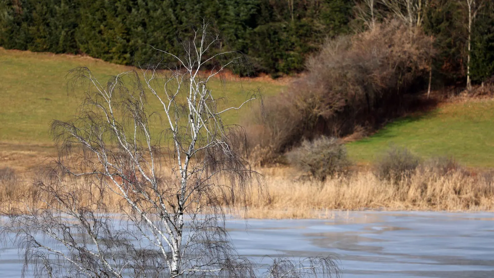 Sonniges und vergleichsweise warmes Wetter brachte der Januar in Bayern (Archivbild). (Foto: Karl-Josef Hildenbrand/dpa)