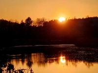 Abendruhe am Weiher - gesehen bei Segringen (Foto: Ingrid Krottenmüller)