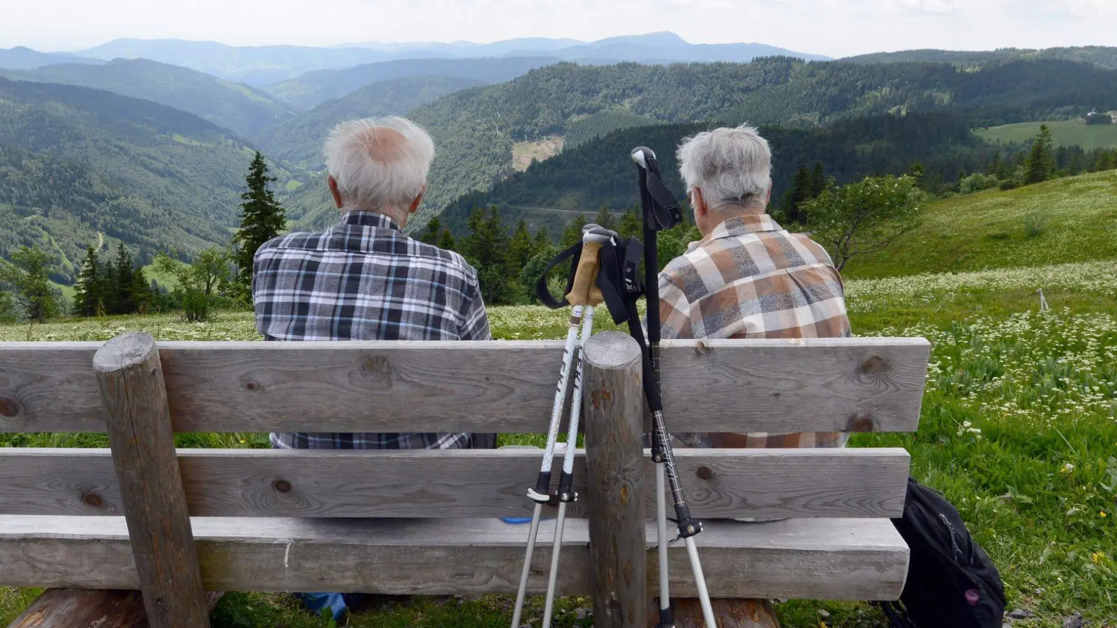 Auch im hohen Alter noch fit genug für die Wandertour in den Bergen sein: Dafür können wir schon in jungen Jahren etwas tun - auch wenn wir unsere Lebenserwartung nicht komplett selbst in der Hand haben.  (Foto: Patrick Seeger/dpa/dpa-tmn)