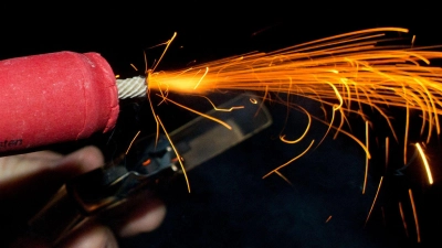 Genaue Zahlen dazu, wie viele Tiere in der Silvesternacht in panischer Flucht verletzt werden oder sterben, gibt es nicht. (Archivbild) (Foto: Patrick Pleul/dpa-Zentralbild/dpa)