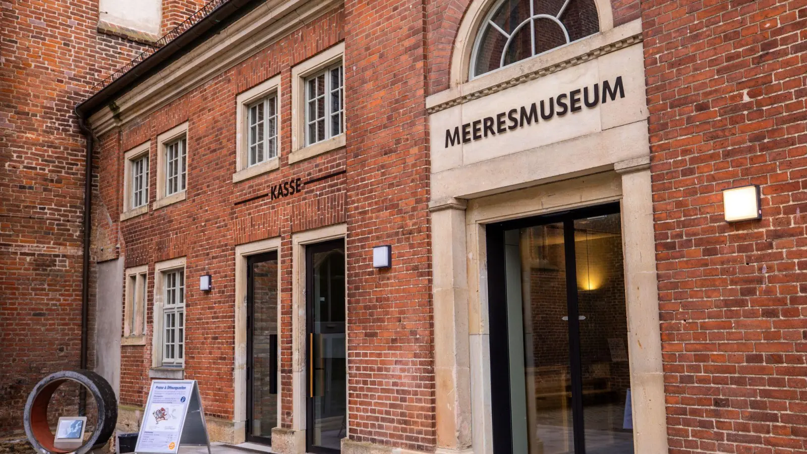 Rund vier Monate nach der Bergung des vor der Ostseeküste geborgenen Buckelwals „Timmy“ sieht sich das Deutsche Meeresmuseum in Stralsund immer noch Anfeindungen ausgesetzt. (Archivbild) (Foto: Jens Büttner/dpa)