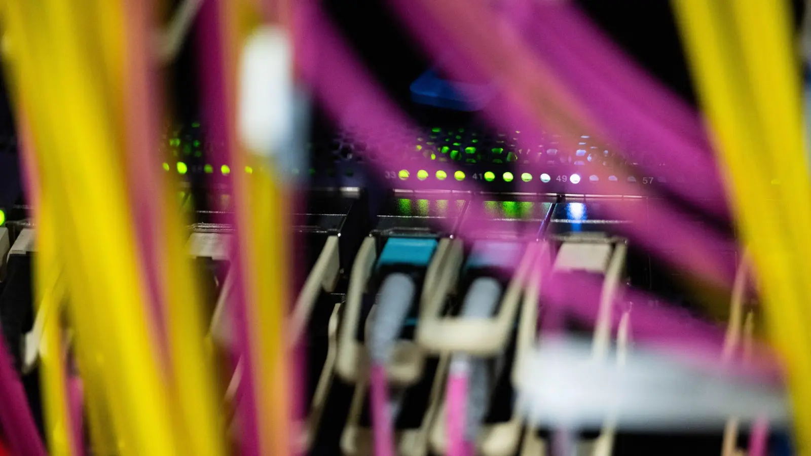 Oracle investiert im großen Stil in der Rhein-Main-Region.  (Foto: Marijan Murat/dpa)