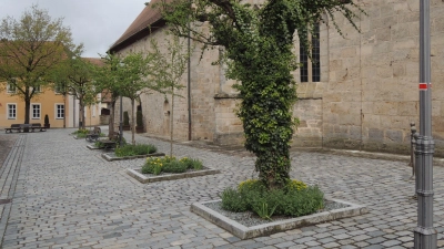 Optisch schön, aber ein Negativ-Beispiel für eine klimaverträgliche Flächengestaltung: Zwischen der Stifts- und der Johanniskirche in Feuchtwangen leiten Rabatten den Niederschlag um die Bäume herum ab. I (Foto: Peter Zumach)