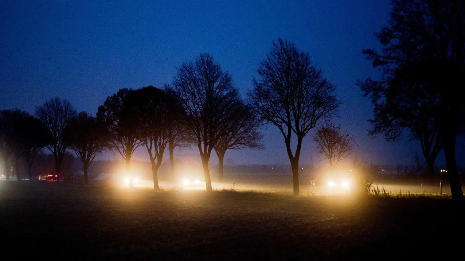 Mystische, aber gefährliche Stimmung: Gerade in der dunklen Jahreszeit steigt die Gefahr am Steuer von den Lichtern anderer Fahrzeuge geblendet zu werden. (Foto: Julian Stratenschulte/dpa/dpa-tmn)
