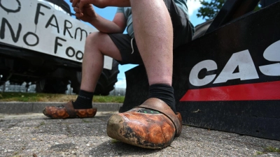 Mehrfach hatten Landwirte in den vergangenen Jahren massiv gegen die Umweltauflagen protestiert. (Archivbild) (Foto: Lars Klemmer/dpa)