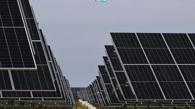 Freiflächen-Photovoltaikanlagen gelten als die günstigste Art der Stromproduktion. (Archivbild) (Foto: Michael Bahlo/dpa)