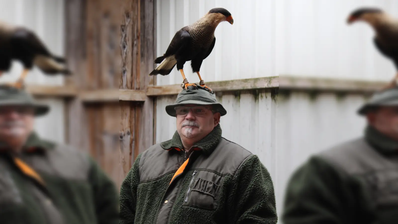 Andreas Ritz von der Greifvogel-Auffangstation Mittelfranken in Diebach hat unter anderem die Schopfkaraka-Dame Inka in seiner Obhut. Sie ist ein südamerikanischer Gänsegeier und sitzt gerne auf dem Hut ihres „Pflegevaters”. (Foto: Kristina Schmidl)