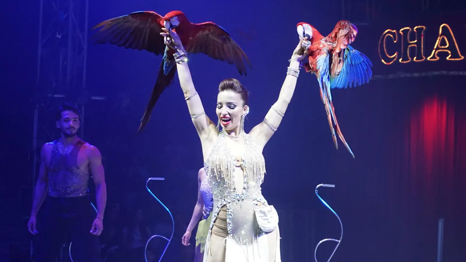 Laura Urunova lässt ihre Papageien eine Runde durchs Zirkuszelt fliegen. (Foto: Andrea Walke)
