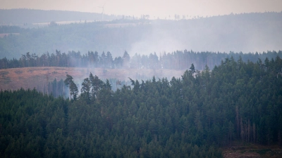 Der Rauch eines großen Waldbrands im Süden von Thüringen zieht auch nach Bayern. (Foto: Jacob Schröter/dpa)