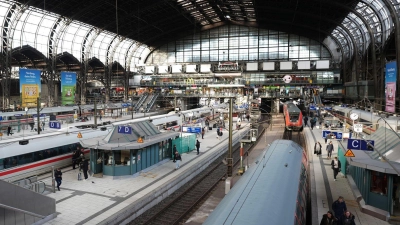Laut Bahn kann es zu Verspätungen kommen. (Symbolbild) (Foto: Marcus Brandt/dpa)