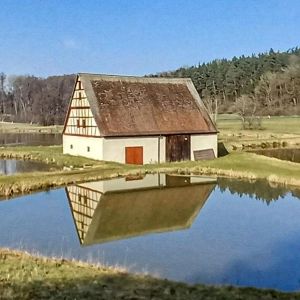 Ehemalige Mühle im Silberbachtal  (Foto: Walter Röber)