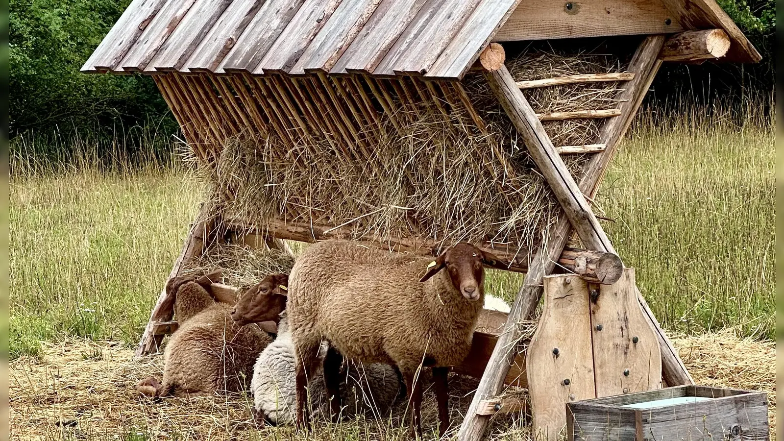 Schutz-Raum – gesehen in Bad Windsheim (Foto: Penelope Meyer)