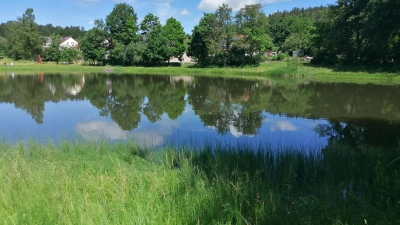 Auch für den Badeweiher in Burk war eine Warnung ausgesprochen worden. (Archivbild: Friedrich Zinnecker)