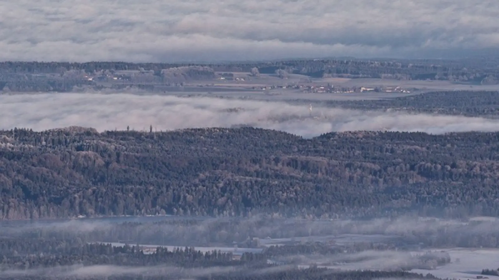 Wälder des bayerischen Alpenvorlands im Morgennebel. Die Staatsregierung fürchtet, dass die neue EU-Entwaldungsverordnung mehr Bürokratie nach sich zieht. (Foto: Carsten Hoefer/dpa)