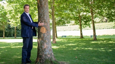 Dieses Foto verfolgt Markus Söder seit seiner Aufnahme 2020: Damals umarmte der bayerische Ministerpräsident einen Baum in München um zu zeigen, wie wichtig ihm der Klimaschutz ist. Nun hat Söders Kabinett die Klimaneutralität von 2040 auf 2045 verschoben. (Archivbild) (Foto: Peter Kneffel/dpa)
