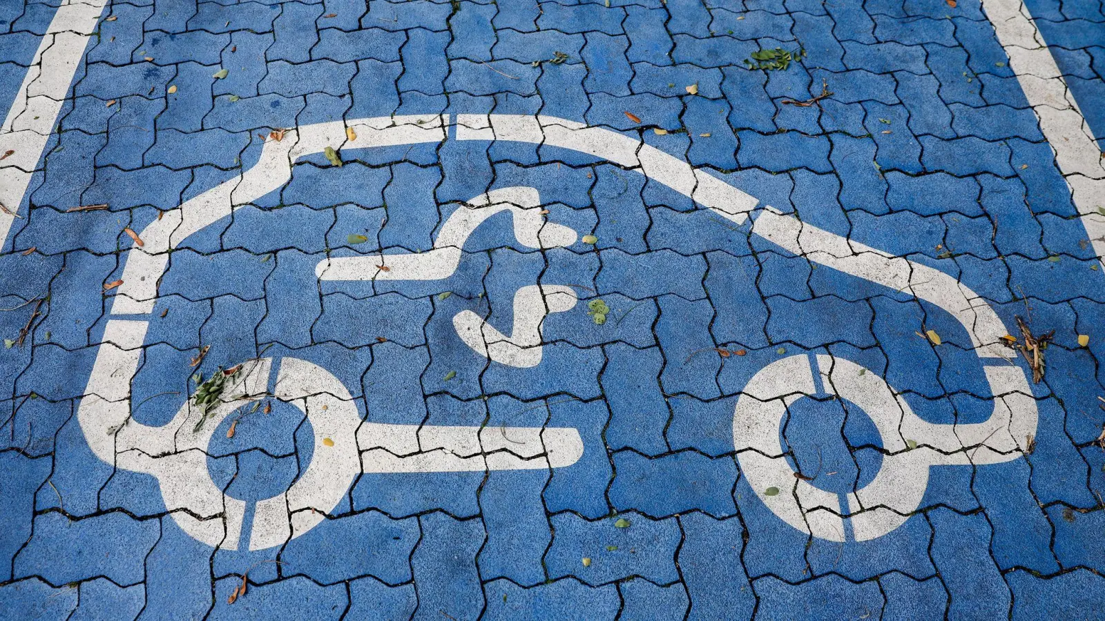 Bei Elektroautos haben deutsche Hersteller und ihre Töchter den Heimatmarkt fest im Griff. (Symbolbild) (Foto: Jan Woitas/dpa)