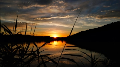 Abendstimmung am Scheerweiher: Das insgesamt rund 53 Hektar große Areal ist das einzige ausgewiesene Naturschutzgebiet innerhalb der Ansbacher Stadtgrenzen. (Foto: Jürgen Herrmann)