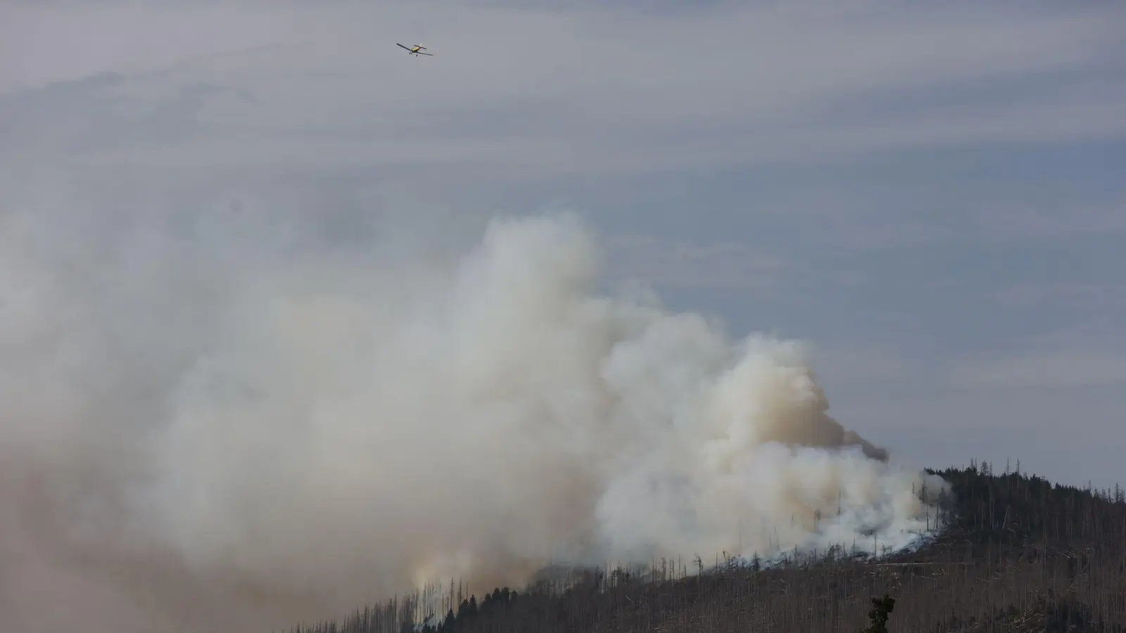 Vor zwei Jahren hatte der Landkreis Harz den Katastrophenfall wegen eines Brandes am Brocken ausgerufen - jetzt ist dort wieder ein Feuer ausgebrochen. (Foto: Matthias Bein/dpa)